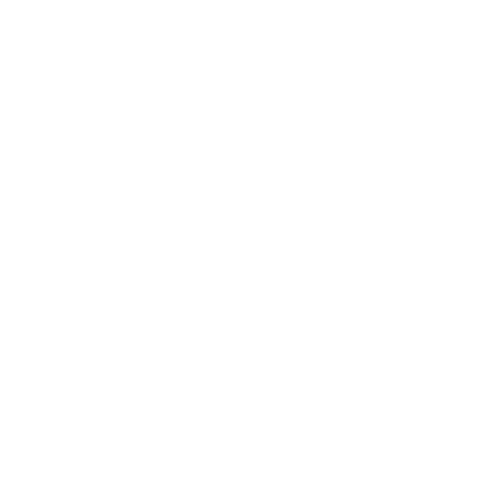 Null icon